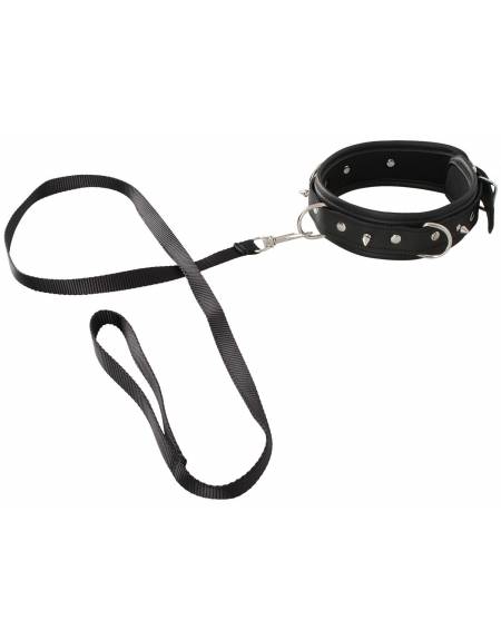 Collier & Laisse Vegan