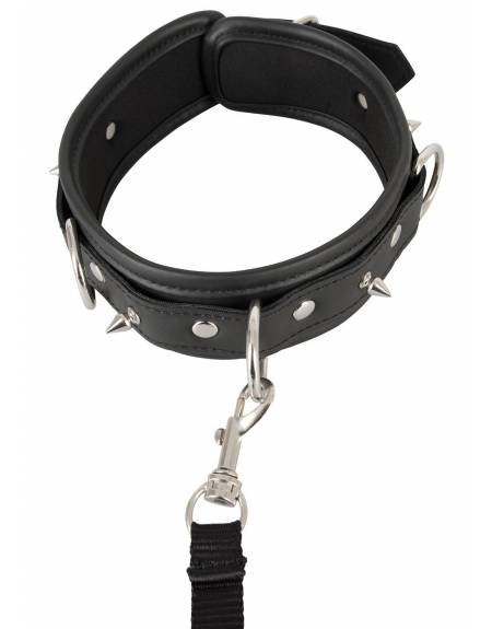 Collier & Laisse Vegan